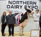 Northern Dairy Expo